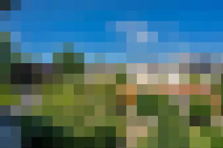 Boomstede 269 Maarssen thumbnail 28