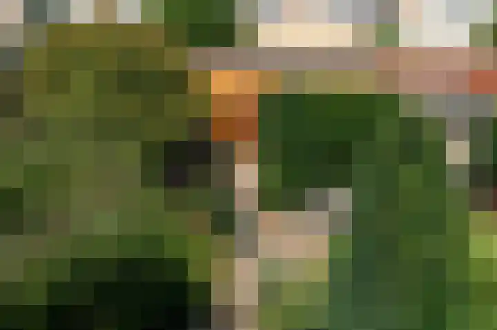 Boomstede 269 Maarssen thumbnail 29