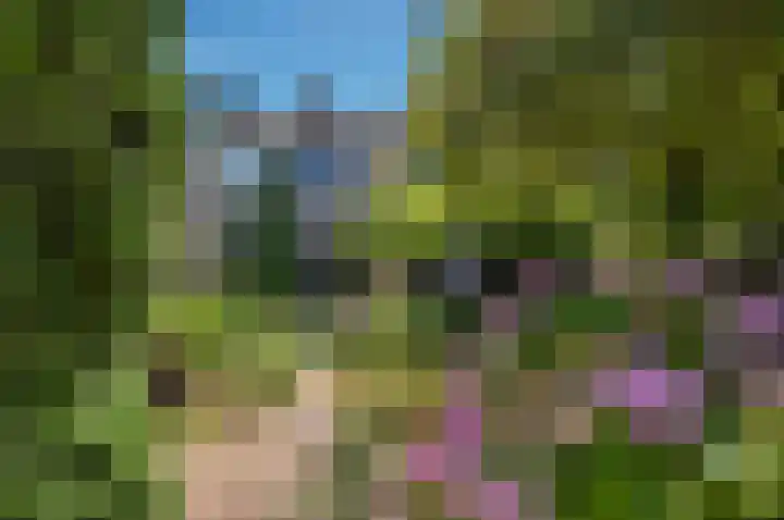 Boomstede 269 Maarssen thumbnail 38