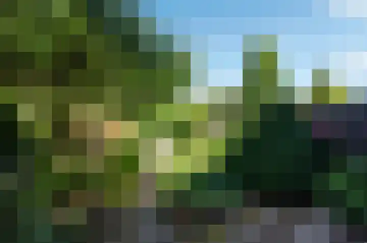 Boomstede 269 Maarssen thumbnail 39