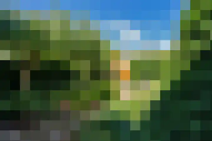 Boomstede 269 Maarssen thumbnail 40