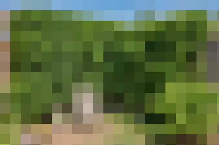 Boomstede 269 Maarssen thumbnail 41