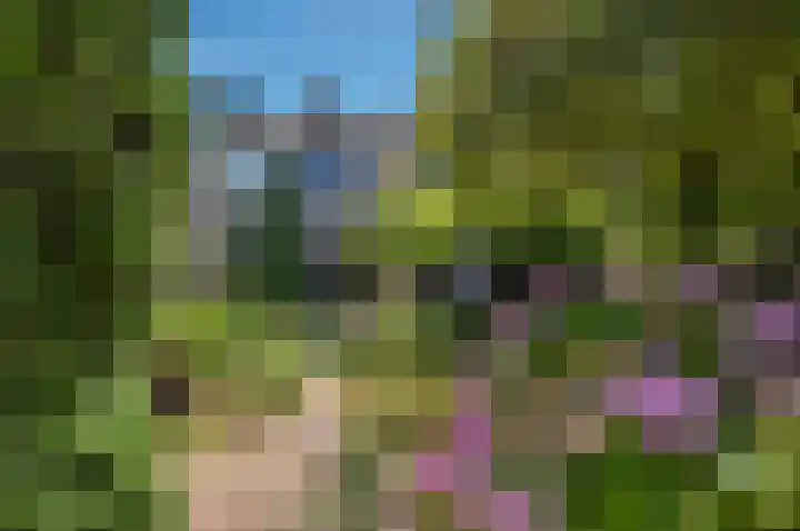 Boomstede 269 Maarssen thumbnail 5