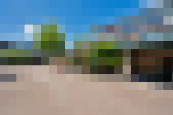 Boomstede 269 Maarssen thumbnail 6