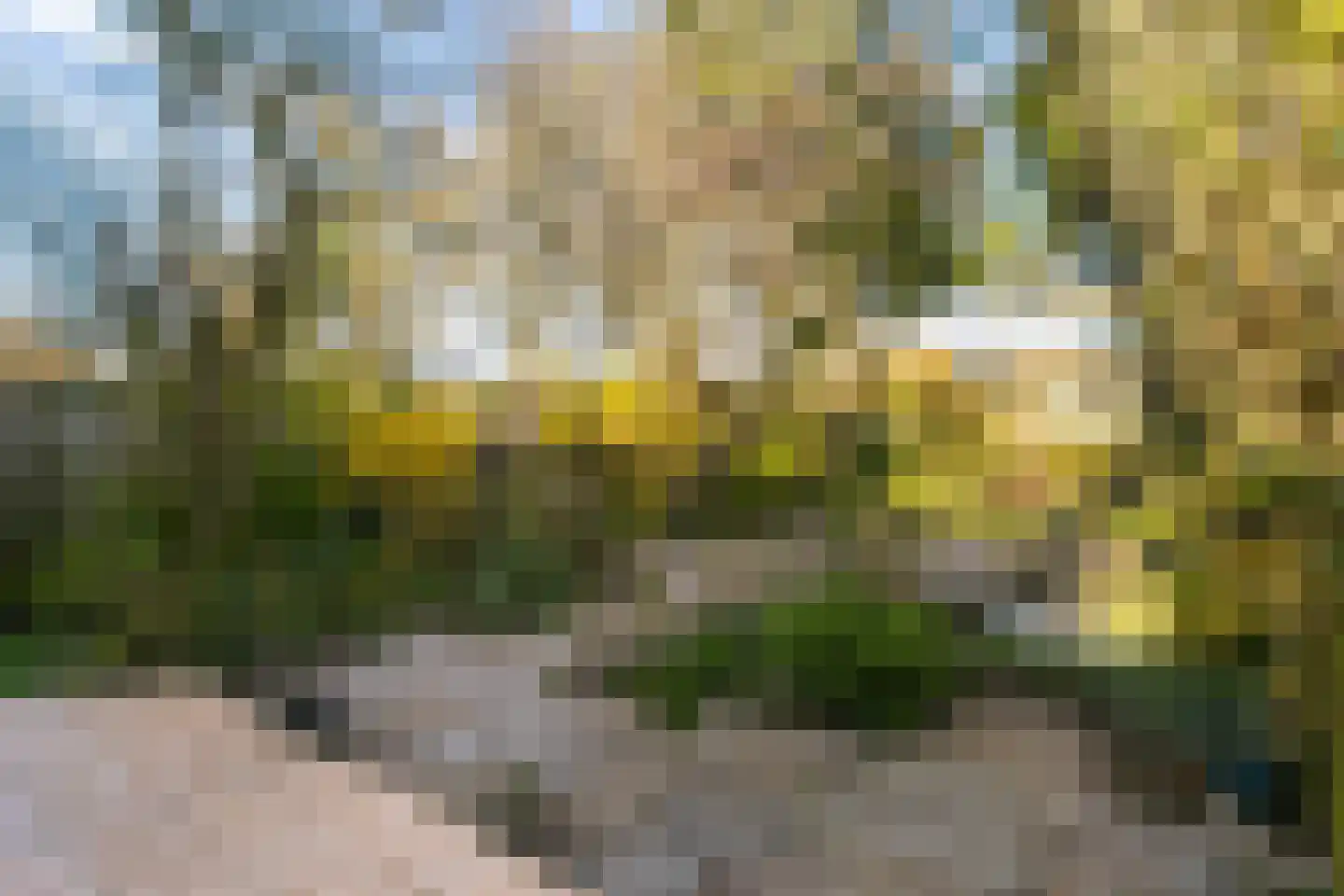 Boomstede 279 Maarssen thumbnail 18