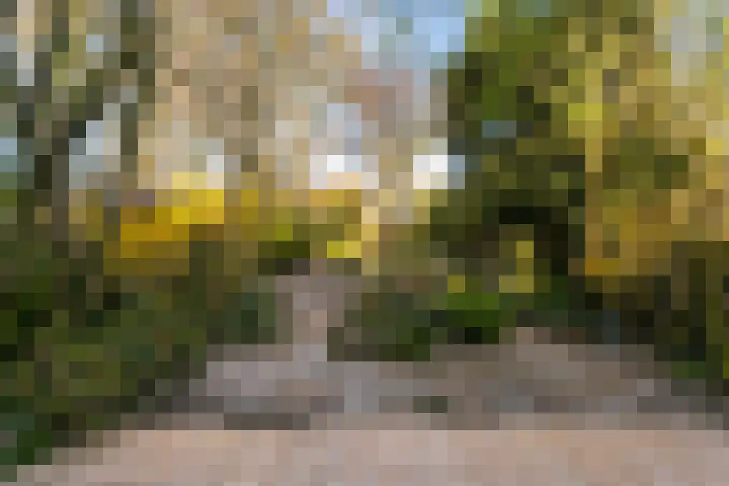 Boomstede 279 Maarssen thumbnail 19