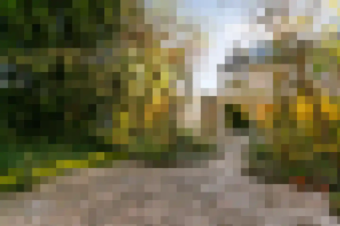 Boomstede 279 Maarssen thumbnail 23