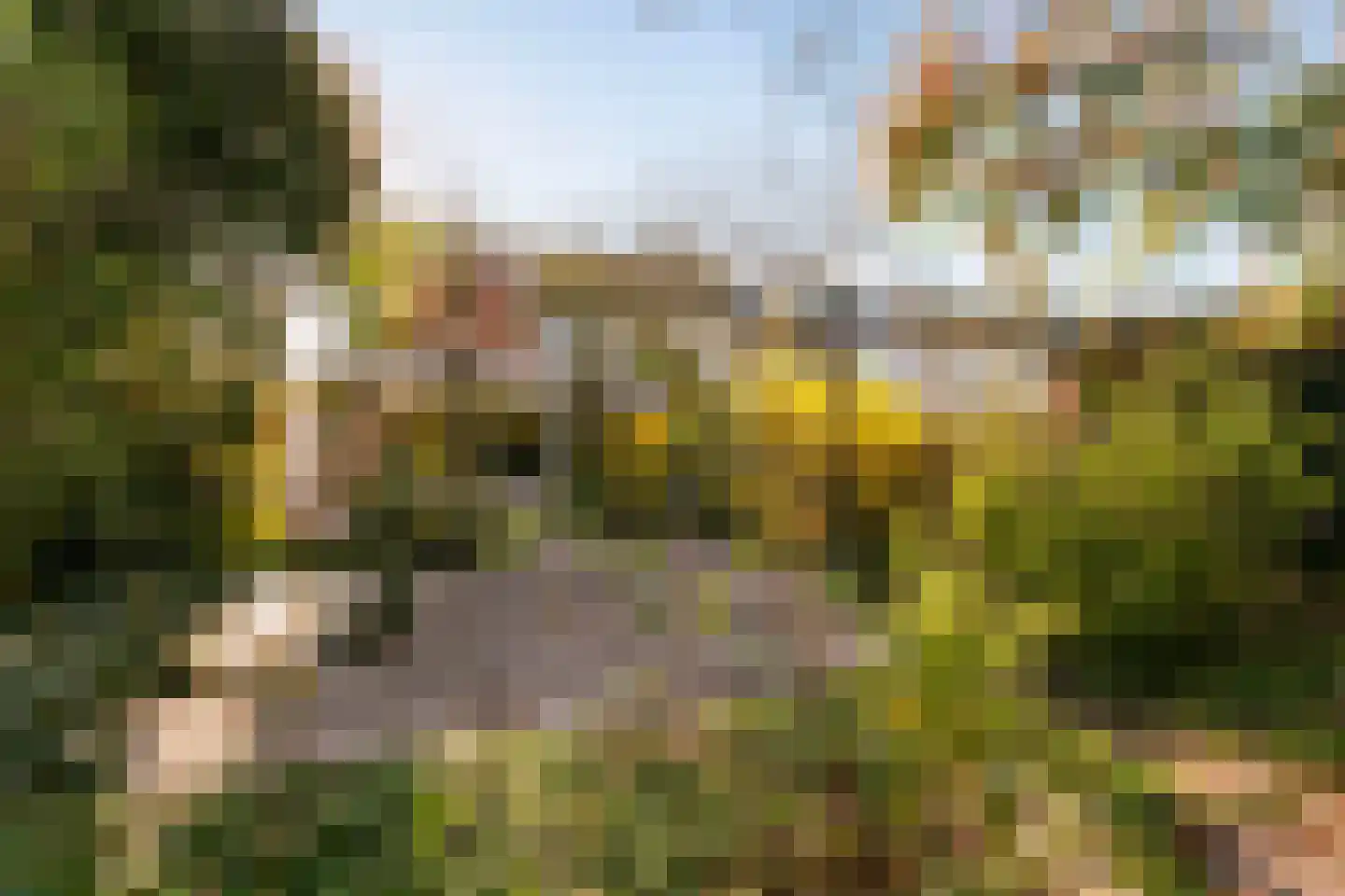 Boomstede 279 Maarssen thumbnail 24