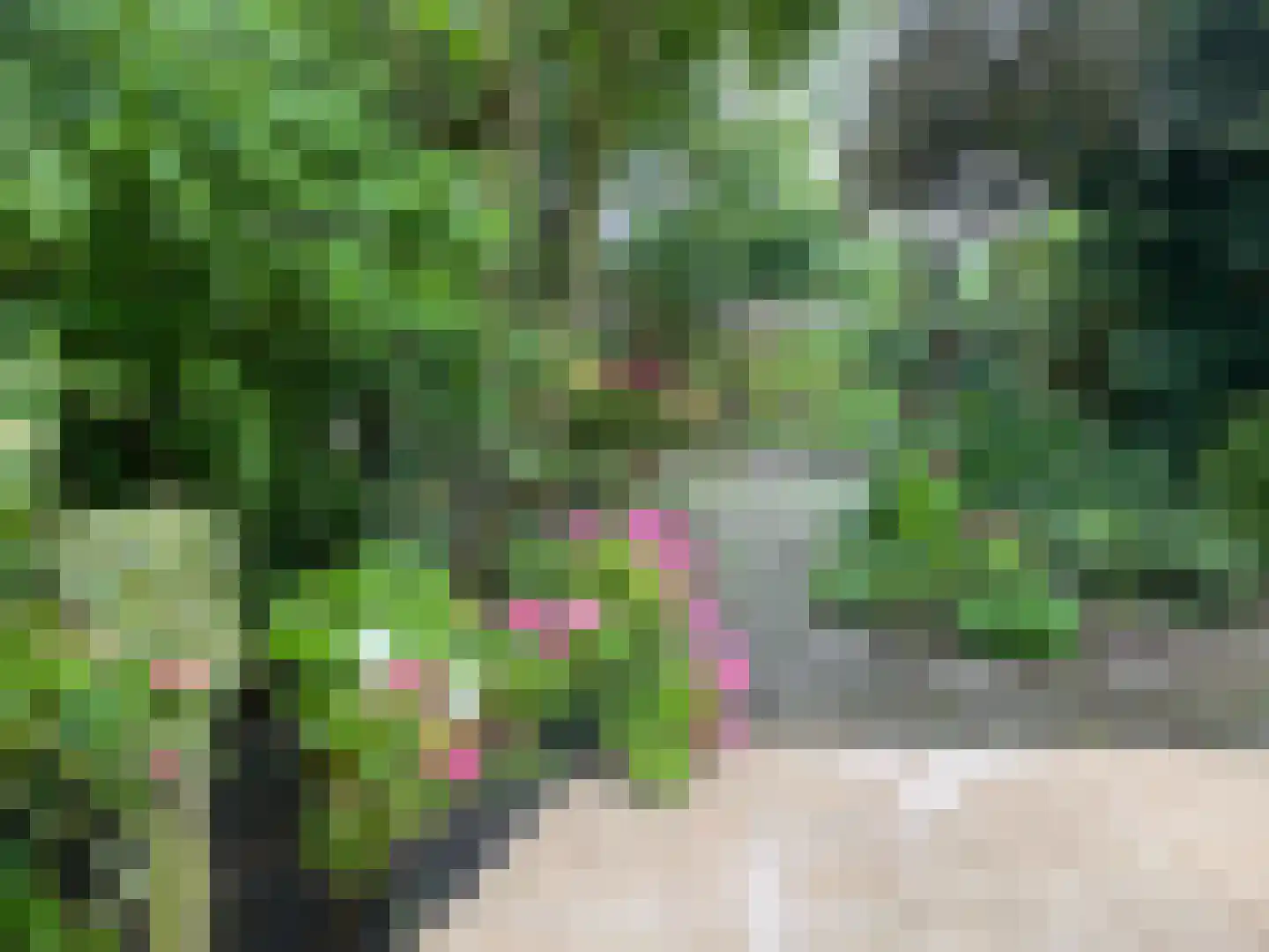 Boomstede 279 Maarssen thumbnail 26