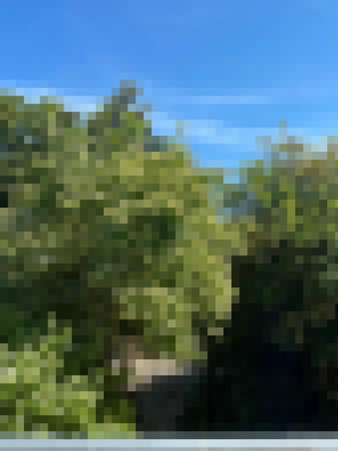 Boomstede 279 Maarssen thumbnail 28