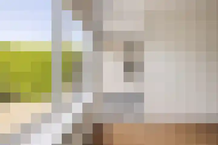 Boomstede 28 Maarssen thumbnail 10