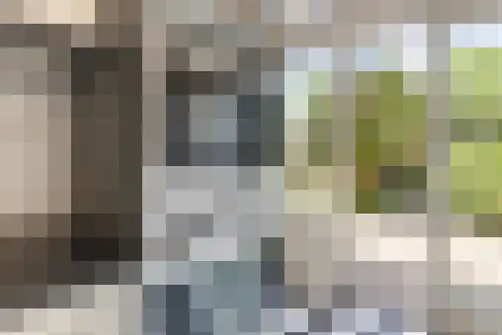 Boomstede 28 Maarssen thumbnail 11