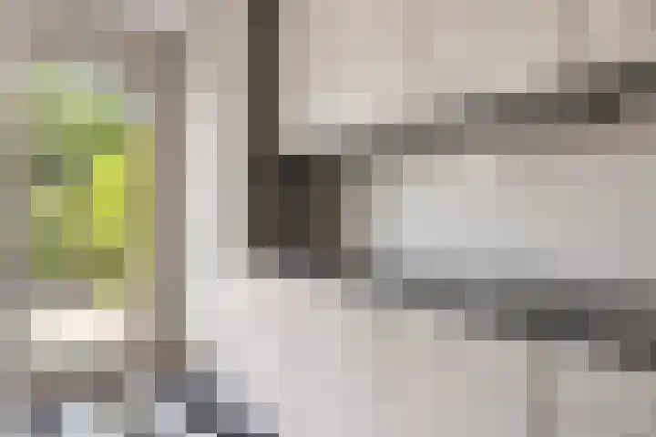 Boomstede 28 Maarssen thumbnail 13
