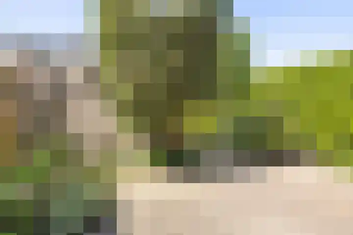 Boomstede 28 Maarssen thumbnail 15
