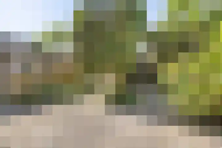 Boomstede 28 Maarssen thumbnail 16
