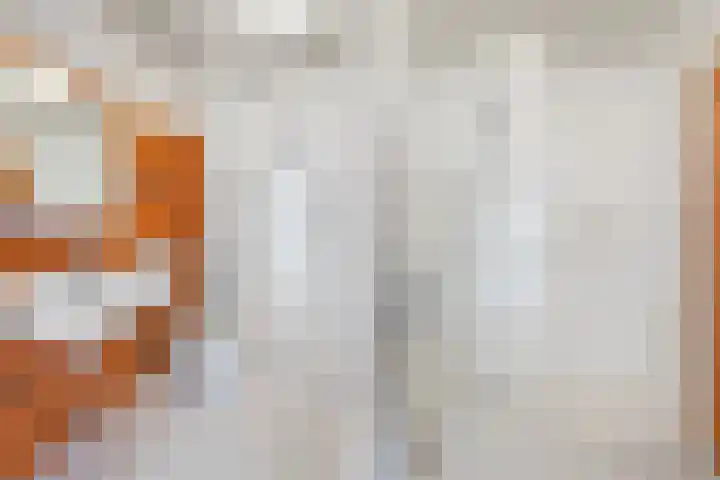 Boomstede 28 Maarssen thumbnail 25