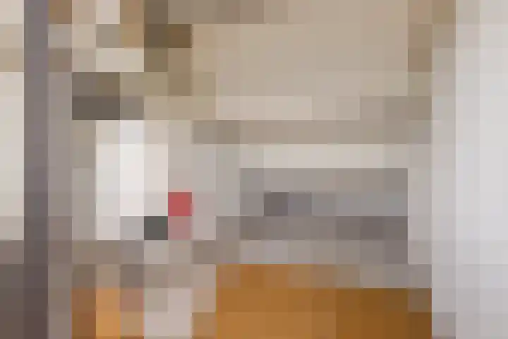 Boomstede 28 Maarssen thumbnail 29