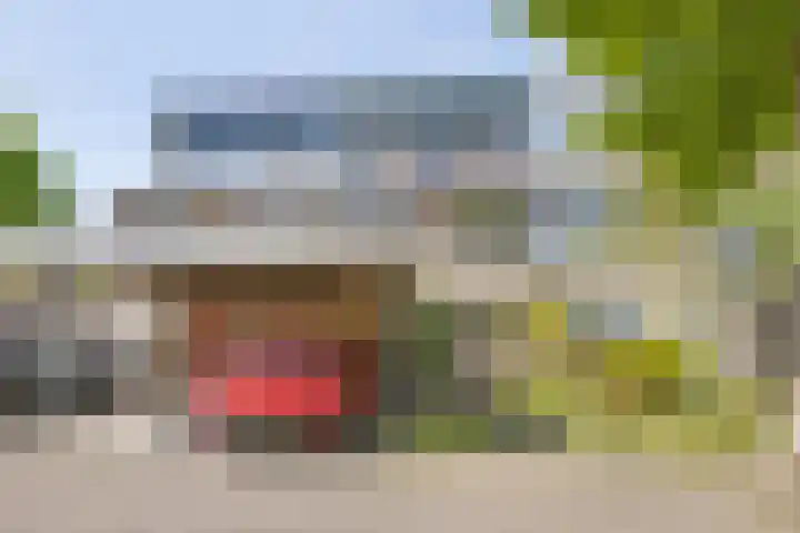 Boomstede 28 Maarssen thumbnail 43