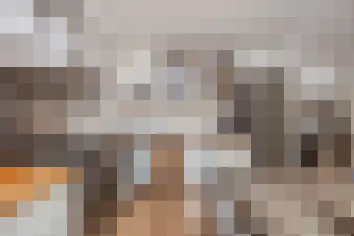 Boomstede 297 Maarssen thumbnail 10