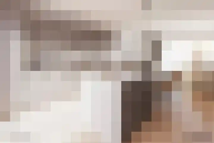 Boomstede 297 Maarssen thumbnail 13