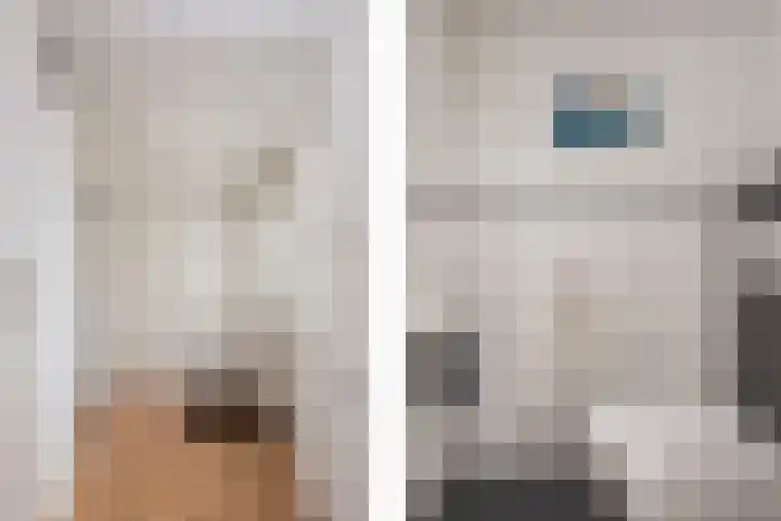 Boomstede 297 Maarssen thumbnail 14