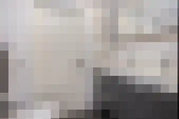 Boomstede 297 Maarssen thumbnail 28
