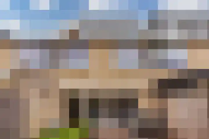 Boomstede 297 Maarssen thumbnail 35
