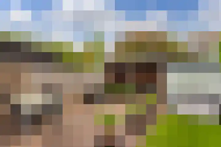 Boomstede 297 Maarssen thumbnail 36