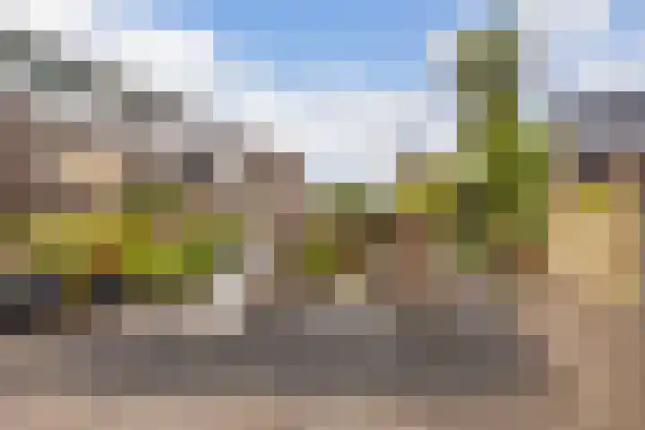 Boomstede 297 Maarssen thumbnail 45