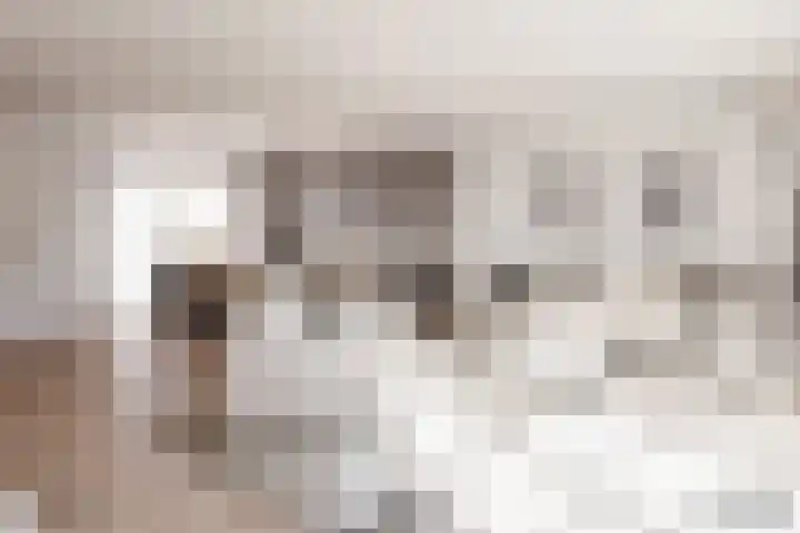 Boomstede 297 Maarssen thumbnail 7