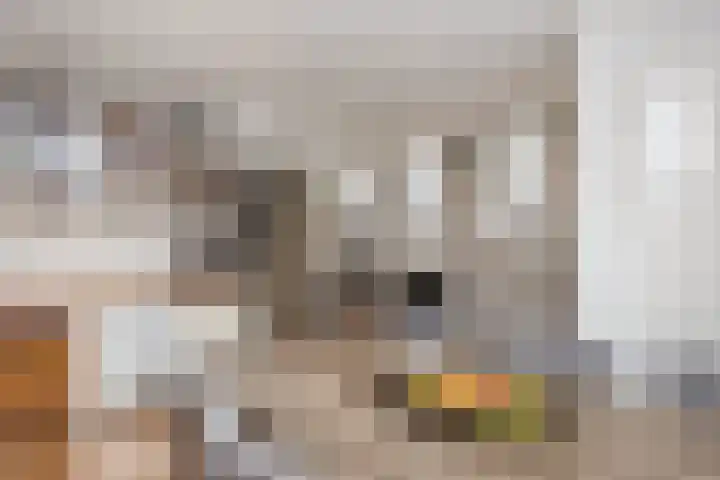 Boomstede 297 Maarssen thumbnail 8