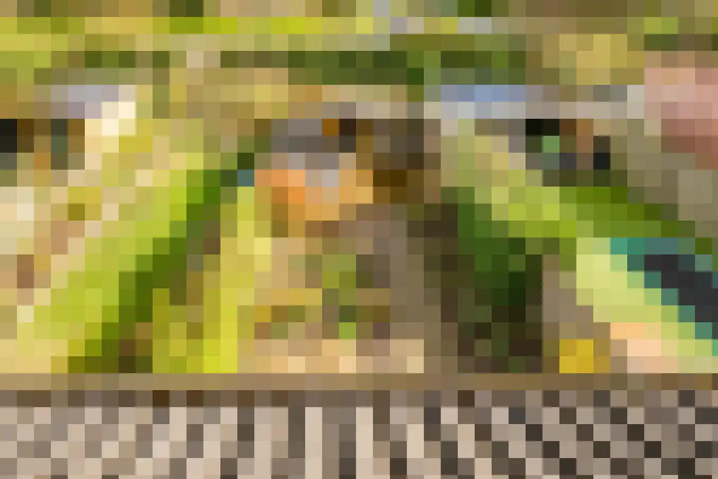 Boomstede 304 Maarssen thumbnail 38