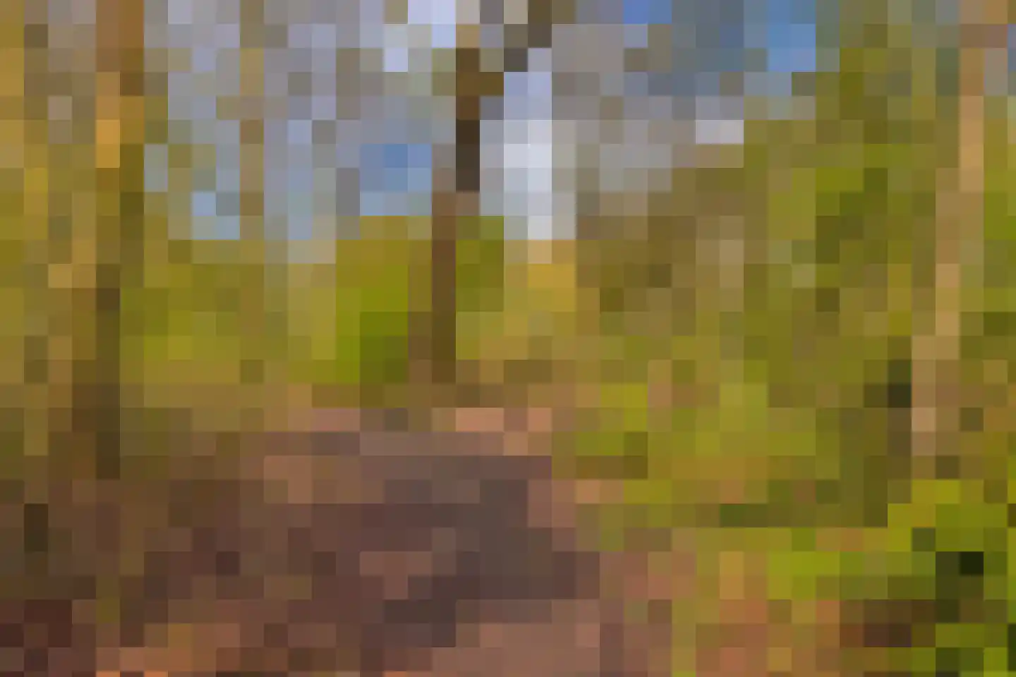 Boomstede 304 Maarssen thumbnail 48