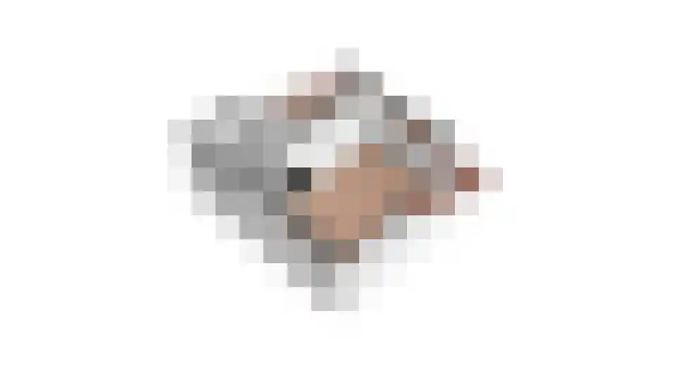 Boomstede 304 Maarssen thumbnail 58