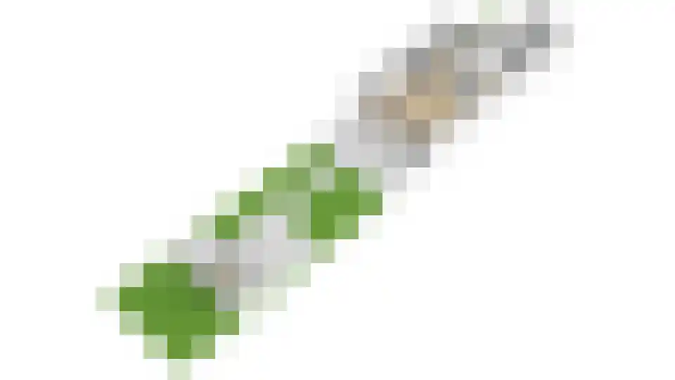 Boomstede 304 Maarssen thumbnail 60