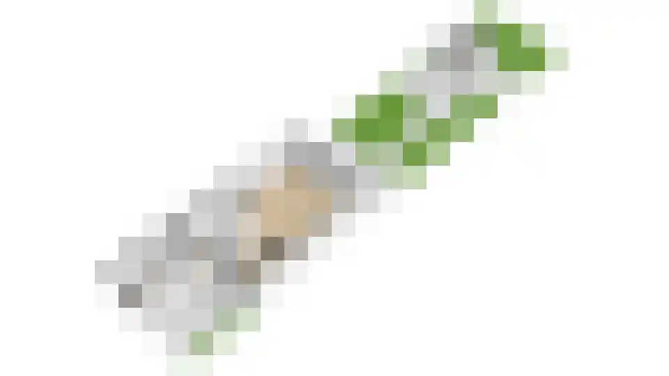 Boomstede 304 Maarssen thumbnail 61