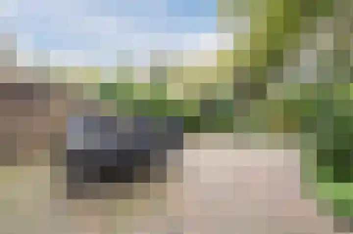 Boomstede 323 Maarssen thumbnail 46