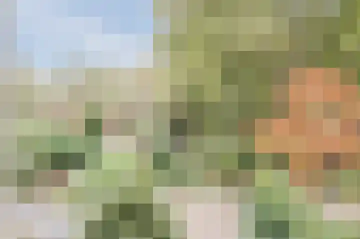 Boomstede 323 Maarssen thumbnail 48