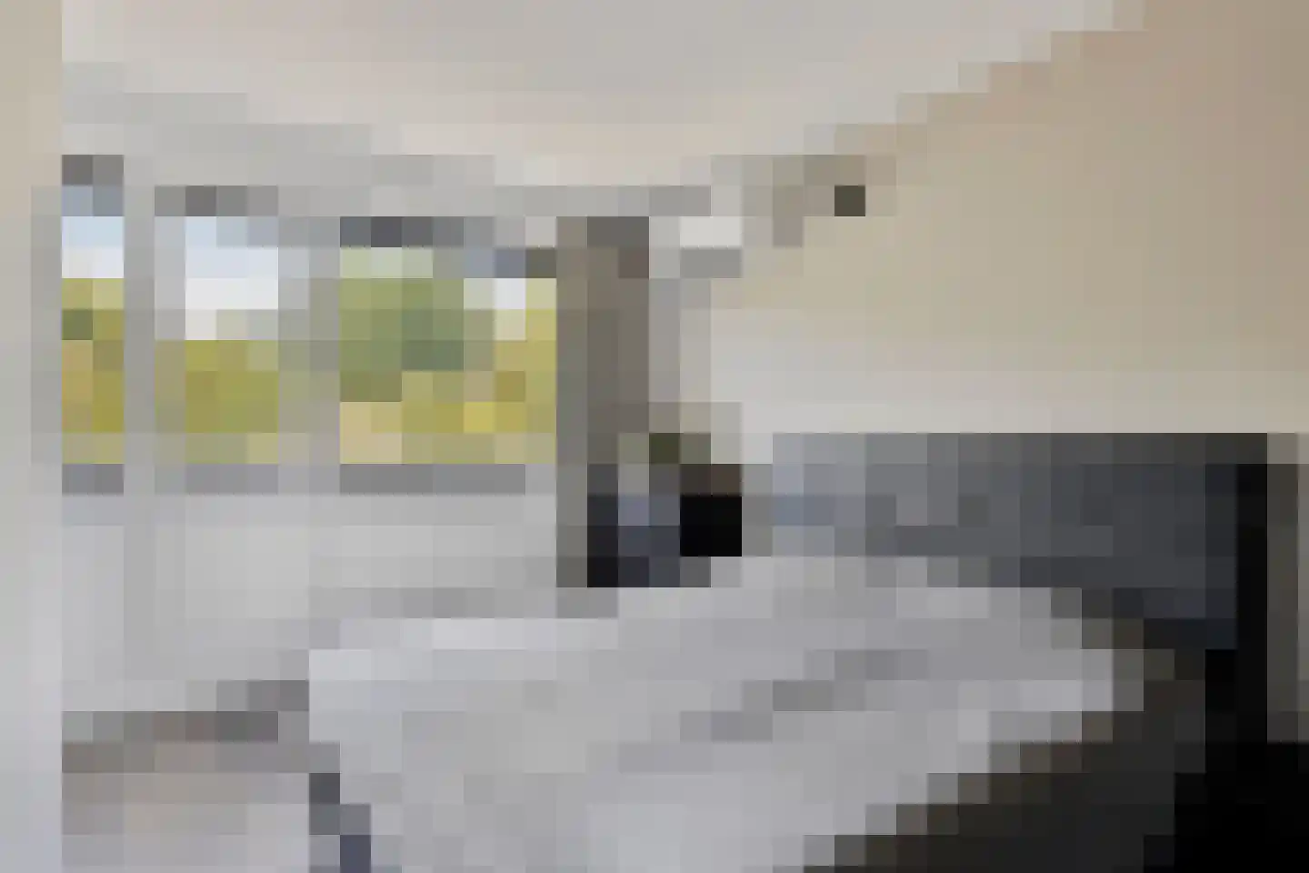 Boomstede 363 Maarssen thumbnail 21