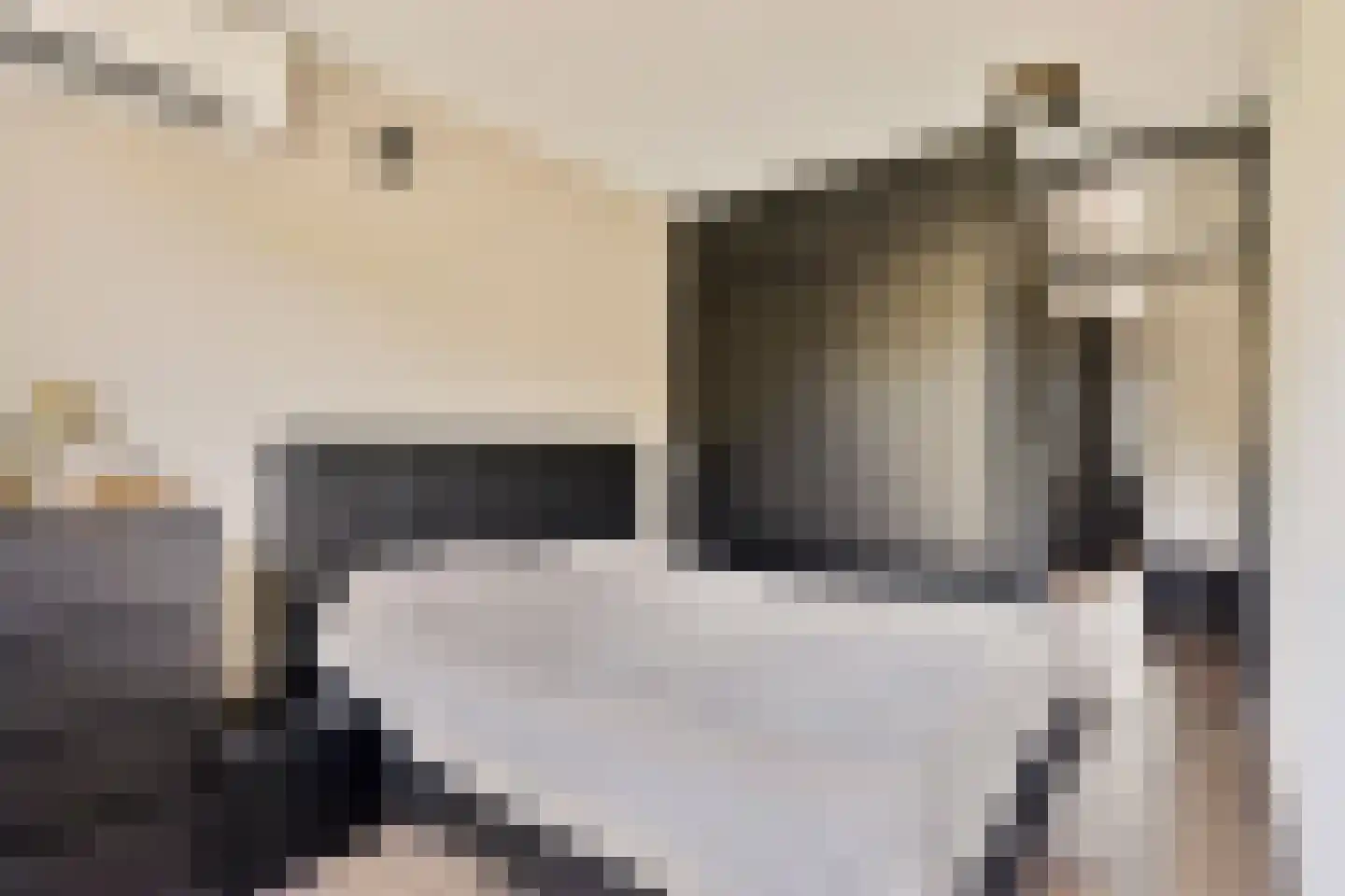 Boomstede 363 Maarssen thumbnail 22