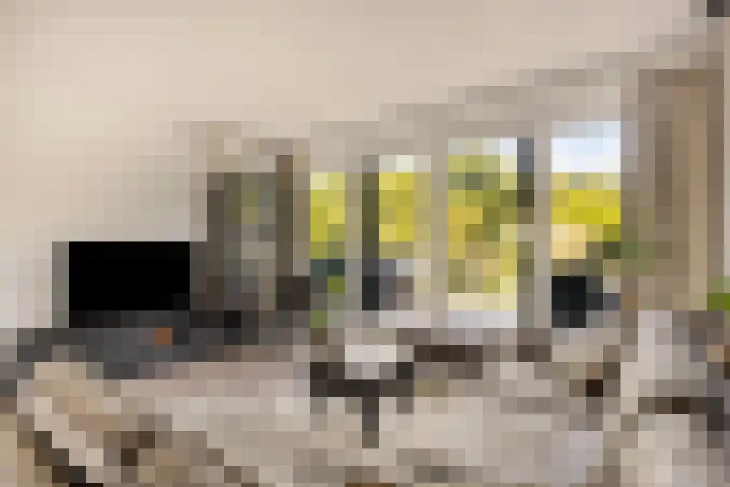 Boomstede 363 Maarssen thumbnail 8