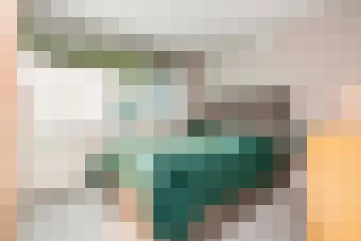 Boomstede 382 Maarssen thumbnail 13