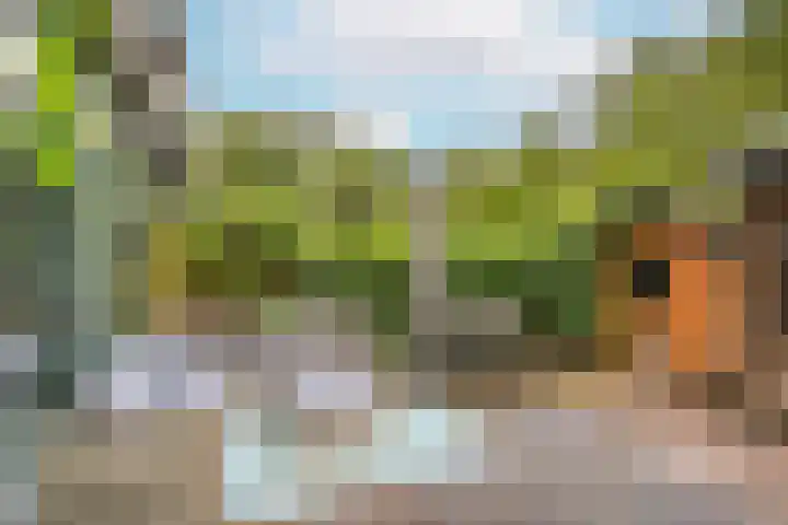 Boomstede 382 Maarssen thumbnail 17