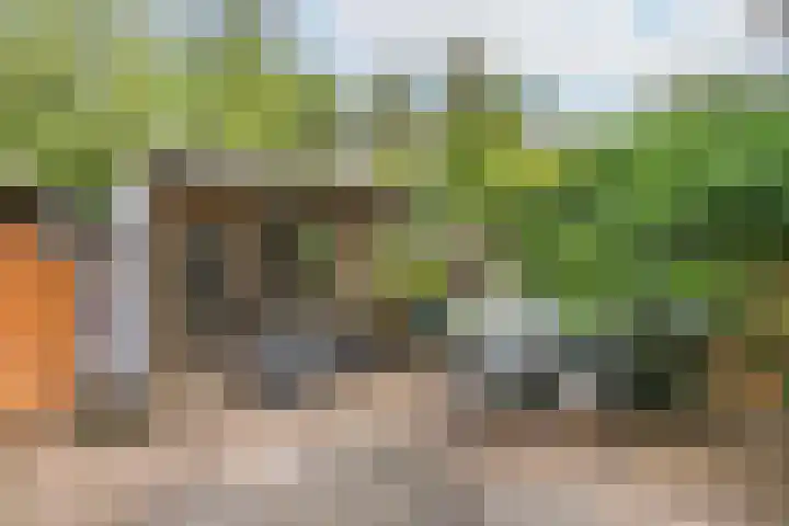 Boomstede 382 Maarssen thumbnail 18