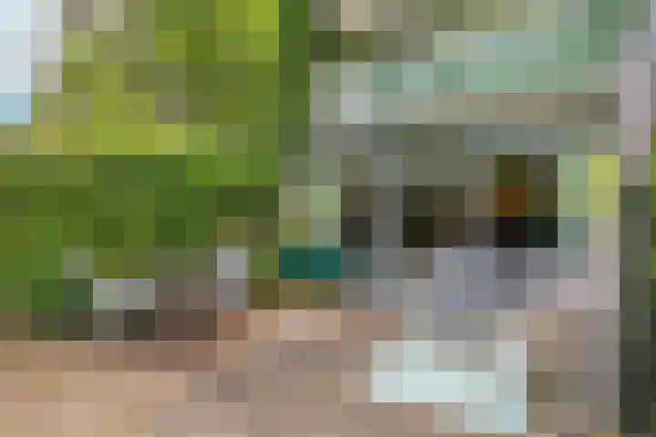 Boomstede 382 Maarssen thumbnail 19