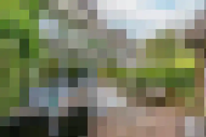 Boomstede 382 Maarssen thumbnail 20
