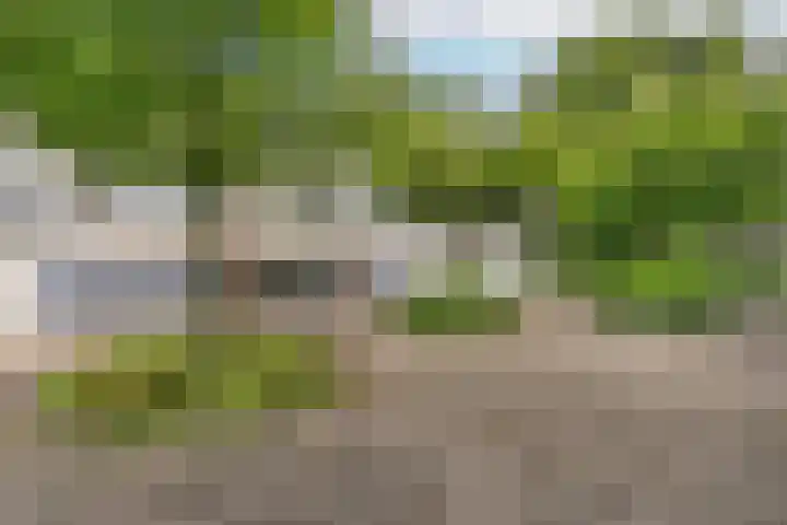 Boomstede 382 Maarssen thumbnail 21