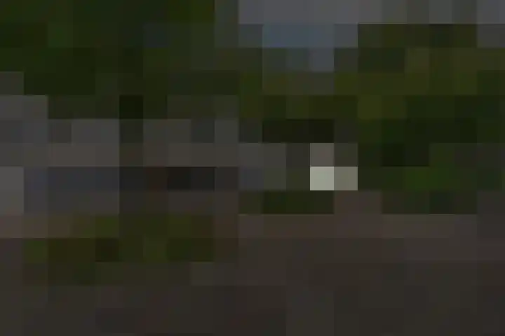 Boomstede 382 Maarssen thumbnail 22