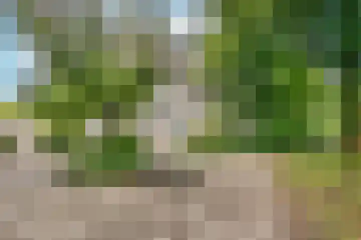 Boomstede 382 Maarssen thumbnail 23