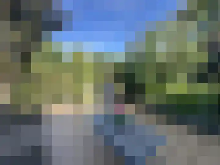 Boomstede 431 Maarssen thumbnail 14